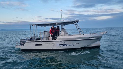 Patrouillenboot Berufsschiff - PIXSEA 850 PRO RS - BORD A BORD - Arbeitsboot / Passagierboot / Crewboot