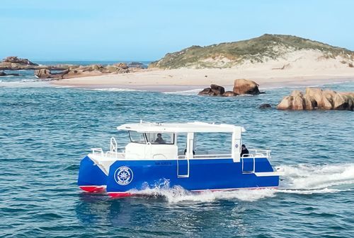 Taucherbasisboot Berufsschiff - PIXSEACAT 900 - BORD A BORD - Katamaran / Außenborder / Aluminium