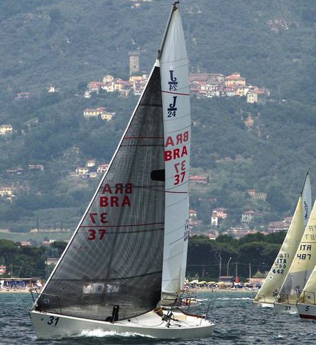 Genua - UK-Halsey International - für One-Design Regatta Kielboote / Triradial-Schnitt / Membran