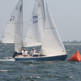 Fock - Catalina 22 - UK-Halsey International - für One-Design Segelboote / cross-cut