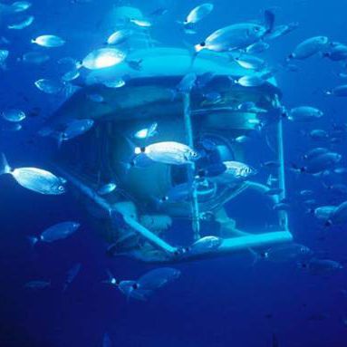 U-Boot / Tourismus - LARGE  - Silvercrest Submarines