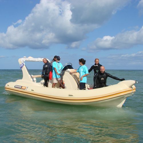 Außenborder-Schlauchboot - 625 CL - ESPADON CONCEPT - zweimotorig / halbstarr / mit Mittelkonsole