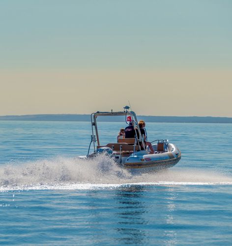 Außenborder-Schlauchboot - 550 PRO  - ESPADON CONCEPT - halbstarr / mit Mittelkonsole / Tauch