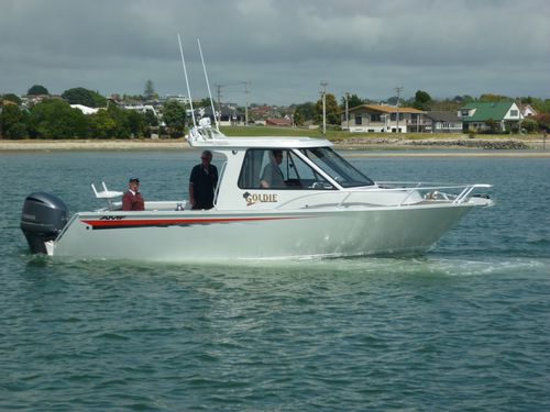 Cabin-Cruiser / Außenborder - 720 Pro  - AMF Boat Company - Hardtop / Sport / Sportfischer