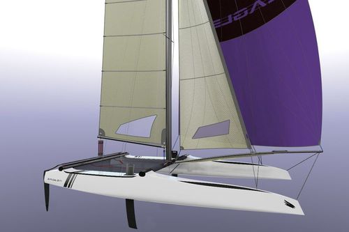 Sportkatamaran für Küstenregatta - 20 C - Eagle Catamarans - Zweihand / mit Doppeltrapez / asymmetrischer Spinnaker