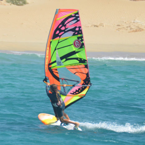 Windsurf-Segel / Wave - MICROFREAK - HOT SAILS MAUI - RDM / 4 Segellatten