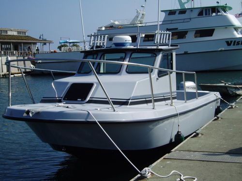 Cabin-Cruiser / Außenborder - Signature 22 - Radon - Sportfischer / 3 Kojen