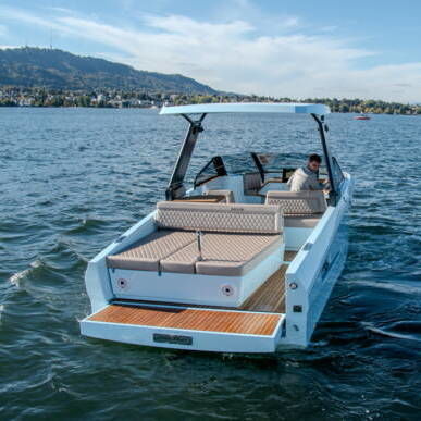 Benzin-Daycruiser - Ganz Boats