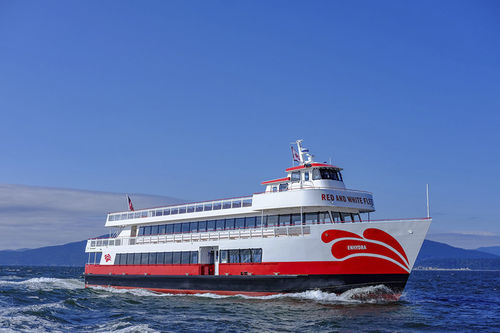 Einrümpfer-Passagierfähre - Enhydra - All American Marine - Aluminium