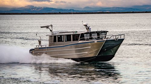 Berufsschiff / Berufsschiff für Fischerei - 3814-CTC - Armstrong Marine - Katamaran / Außenborder / Aluminium
