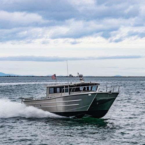 Berufsschiff / Berufsschiff für Fischerei - 4216-CTC - Armstrong Marine - Katamaran / Innenborder / Diesel