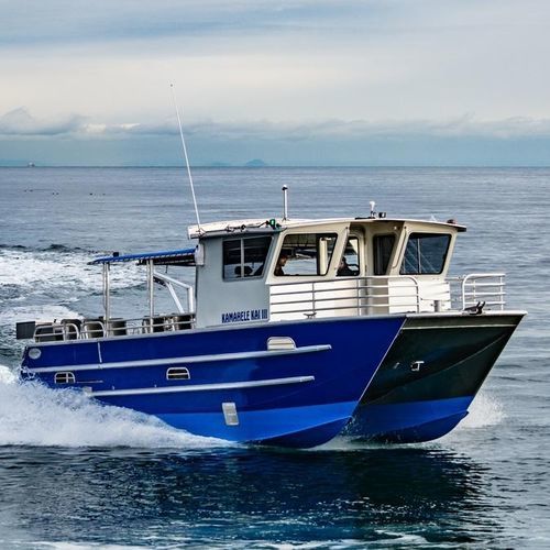 Ausflugsboot Berufsschiff - 3513-CTC | PaxCat - Armstrong Marine - Katamaran / Außenborder / Aluminium