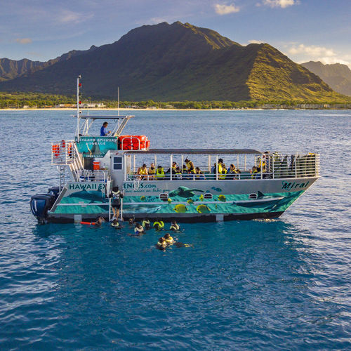 Ausflugsboot Berufsschiff - 4016-CTC | PaxCat - Armstrong Marine - Katamaran / Außenborder / Aluminium