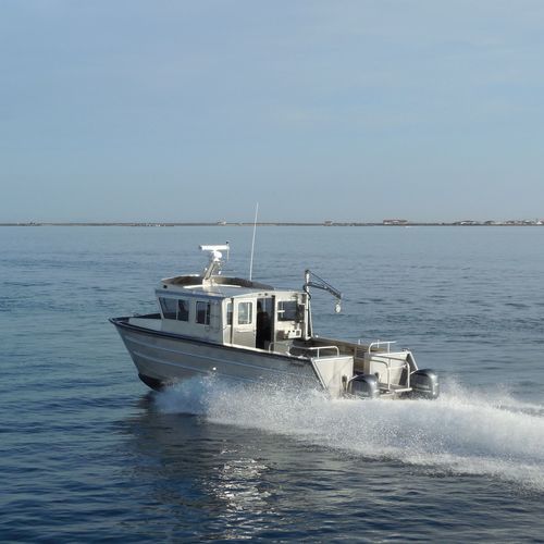 Boot für hydrographische Studien Berufsschiff - 3513-CTC | LabCat - Armstrong Marine - Katamaran / Außenborder / Aluminium