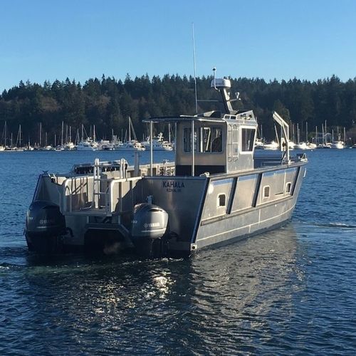 Landungsboot-Berufsschiff - 4014-CTC - Armstrong Marine - Katamaran / Außenborder / Aluminium