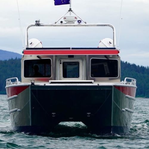 Landungsboot-Berufsschiff - 4715-CTC - Armstrong Marine - Katamaran / Außenborder / Aluminium