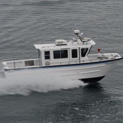 Patrouillenboot Berufsschiff - 3111-CTC - Armstrong Marine - Feuerlöschboot / Katamaran / Innenborder