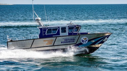 Patrouillenboot Berufsschiff - 3813-RCM - Armstrong Marine - Innenborder / Diesel / Aluminium