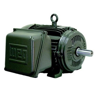 Innenbordmotor - W21 TEFC IP55 - Weg Electric Motors - elektrisch / für Schiffe / für Berufsschiffe