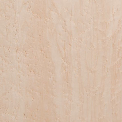 Furnierplatte - Knotty Maple - Kuiper Holland - Superyacht Interior Panels - Holz