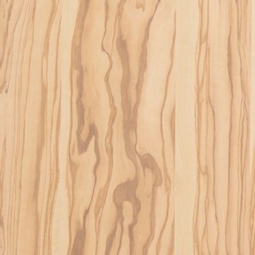 Furnierplatte - Kuiper Holland - Superyacht Interior Panels - aus Olivenholz