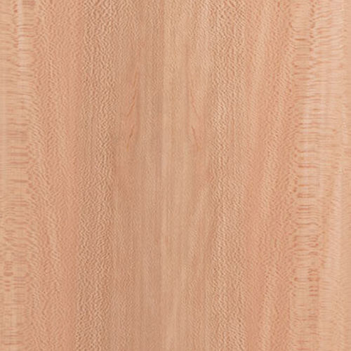Furnierplatte - Sycamore - Kuiper Holland - Superyacht Interior Panels - Holz