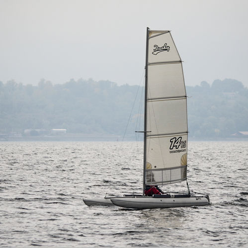 Aufblasbarer Sportkatamaran - Ducky-14s - Inflatable Solution - Eduard Maydanik - Einhand / Catboat
