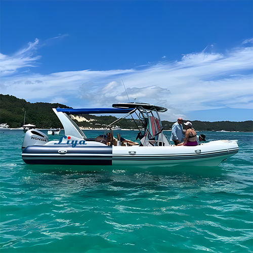 Außenborder-Schlauchboot - RIB750-C - Qingdao Lian Ya Boat Co.,Ltd. - Benzin / zweimotorig / halbstarr