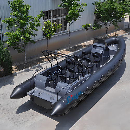 Außenborder-Schlauchboot - RIB830 - Qingdao Lian Ya Boat Co.,Ltd. - Benzin / zweimotorig / RIB
