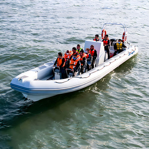 Patrouillenboot Berufsschiff - LY90-100 - Qingdao Lian Ya Boat Co.,Ltd. - Außenborder / RIB