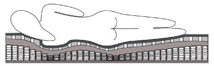 Matratze für Boot - Marine+ - Ship Shape Bedding - Schaumstoff