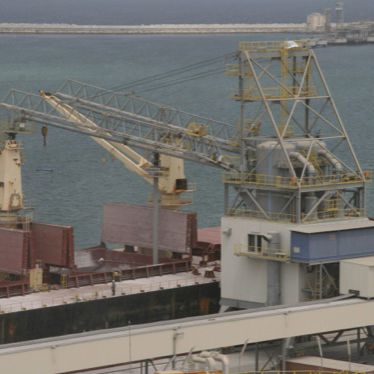 Druckluft-Schiffsentlader - ALUMINA - NEUERO Industrietechnik GmbH - kontinuierlich / mobil / Schienen