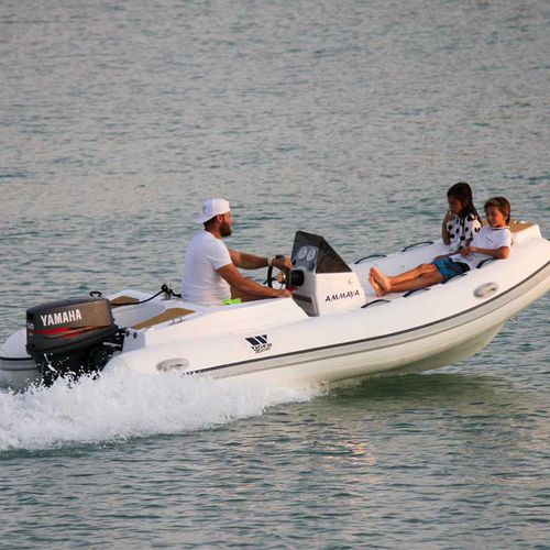 Außenborder-Schlauchboot - PT400 - Tiger Marine - RIB / Open / mit Seitenkonsole