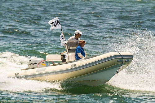 Außenborder-Schlauchboot - OP520 - Tiger Marine - halbstarr / mit Mittelkonsole / Open