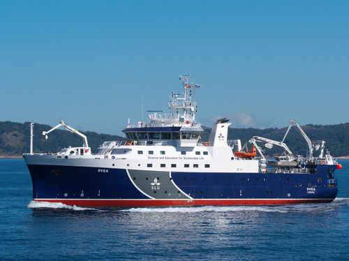 Schiff für die ozeanographische Forschung - SVEA - Armon Shipyards