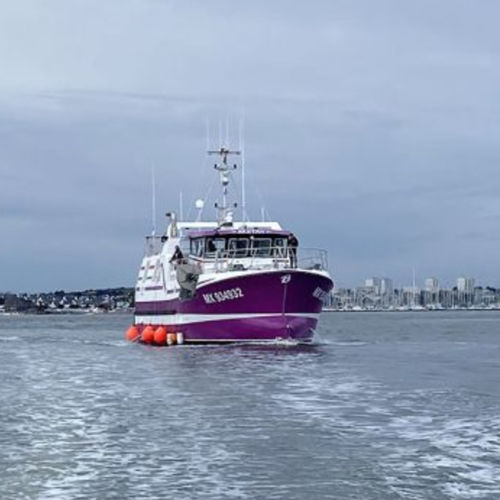 Trawler-Berufsschiff - Gillnetter - Bernard Shipyard - Innenborder / GRP