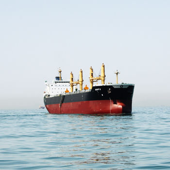 Massengutfrachter-Frachtschiff - DAE SUN SHIPBUILDING - Panamax