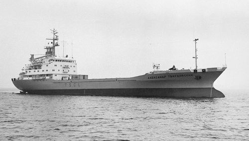 Massengutfrachter-Frachtschiff - PROJECT 1597 - JSC KHERSON SHIPYARD