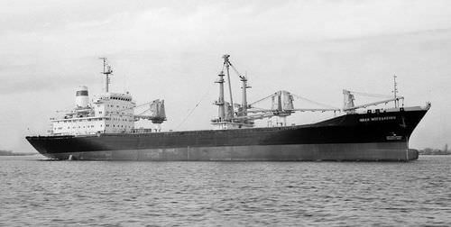 Massengutfrachter-Frachtschiff - PROJECT 1585 - JSC KHERSON SHIPYARD