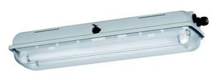 Deckenleuchte für den Innenraum - EXLUX 6001  - R. STAHL Schaltgeräte - für Schiffe / fluoreszierend