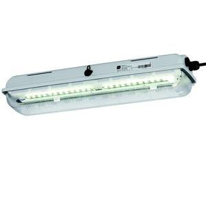 Deckenleuchte für den Innenraum - EXLUX 6002 SERIES - R. STAHL Schaltgeräte - für Schiffe / LED