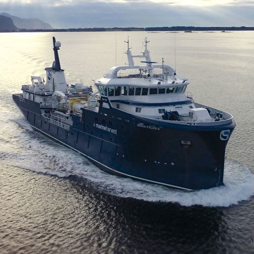 Lebendfischtransporter-Frachtschiff - RONJA POLARIS - Astilleros Zamakona