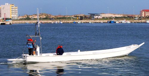 Berufsschiff / Berufsschiff für Fischerei - PIROGUE 12 - Estaleiros Navais de Peniche - Innenborder / GRP