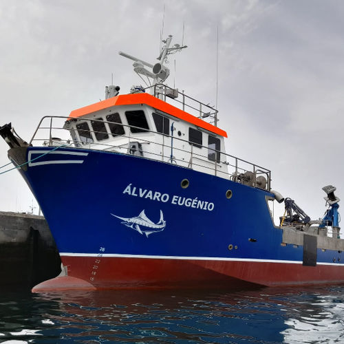 Berufsschiff für Ringwadennetz - Cercador - Estaleiros Navais de Peniche - Verbundwerkstoff