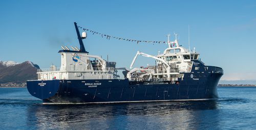 Trawler-Fischereischiff - RONJA OCEAN - Kleven Maritime AS - Lebendfischtransporter