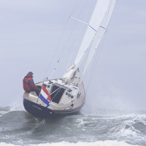 Segelboot für Kreuzfahrten - SC 8 M  - Saffier Yachts - traditionell / Daysailer / 1 Kabine