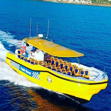 Passagierboot Berufsschiff - 50 - QUER PROFESSIONAL BOATS - Taucherbasisboot / Sternantrieb / Z-Antrieb