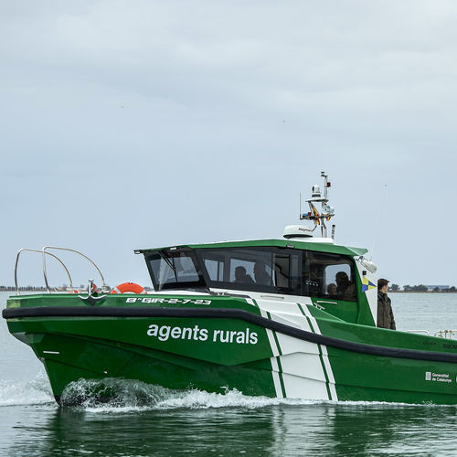 Patrouillenboot Berufsschiff - Q35 Explorer - QUER PROFESSIONAL BOATS - Rettungsboot / Arbeitsboot / Lotsenboot