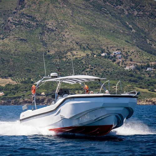 Passagierboot Berufsschiff - 60 - QUER PROFESSIONAL BOATS - Crewboot / Innenborder / Diesel