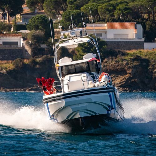 Studien- und Forschungsschiffe Berufsschiff - Q80 Explorer - QUER PROFESSIONAL BOATS - Innenborder / glasfaserverstärkter Verbundstoff / Carbon